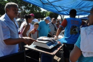 Várias espécies de peixes foram oferecidas aos consumidores, durante a realização da feira