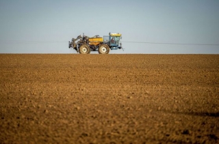 Produtor, em meio a uma plantação. (Foto: AFP)
